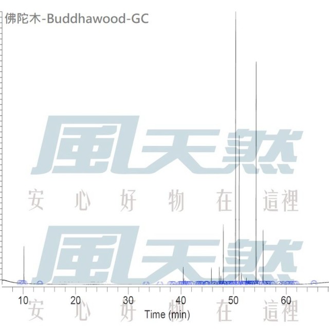 Buddhawood-澳洲佛陀木