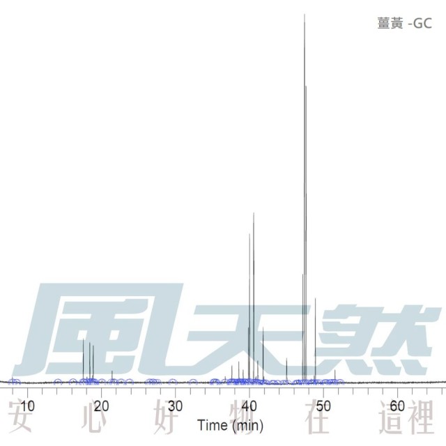 Curcuma-薑黃