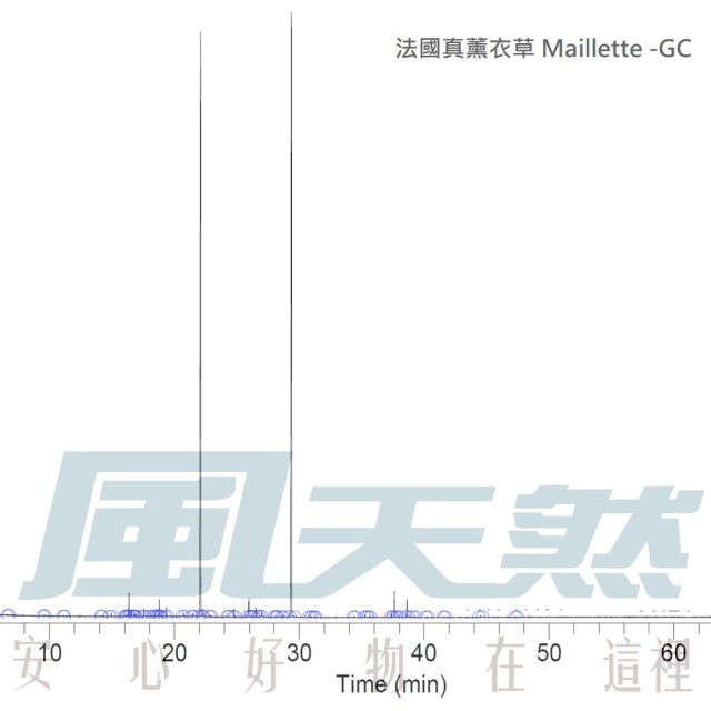 Lavender-Maillette 法國真薰衣草