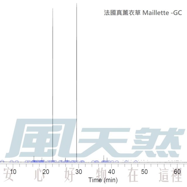 Lavender-Maillette 法國真薰衣草