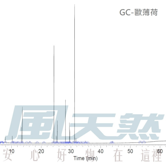 Peppermint-歐薄荷