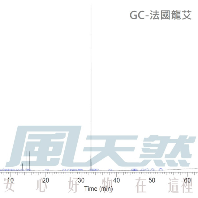 Tarragon -法國龍艾